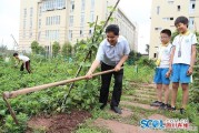 智慧树选修刷课_大学时经常一个人独处