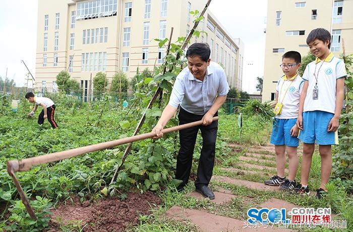 智慧树选修刷课_大学时经常一个人独处