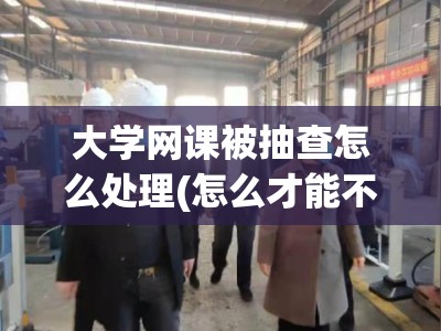 大学网课被抽查怎么处理(怎么才能不被发现)